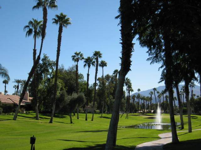 144 Las Lomas - Photo 1