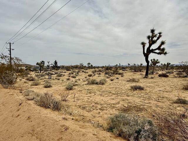 00000 Drexel Drive - Photo 1