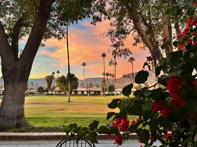 171 Avenida Las Palmas - Photo 1