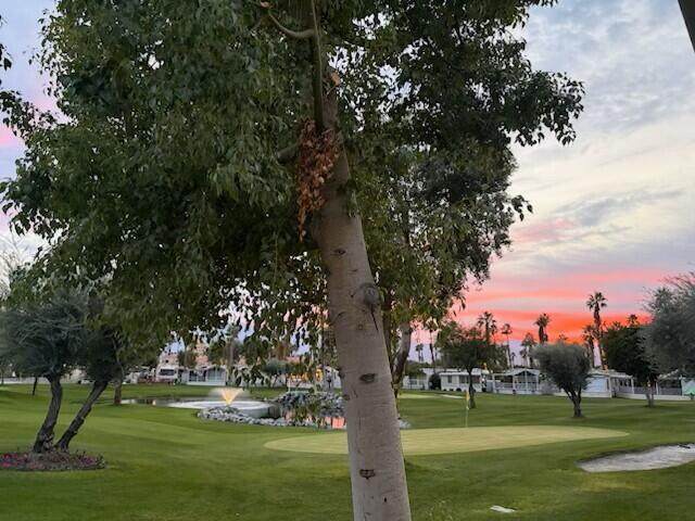 84136 Ave 44, #744 - Photo 1