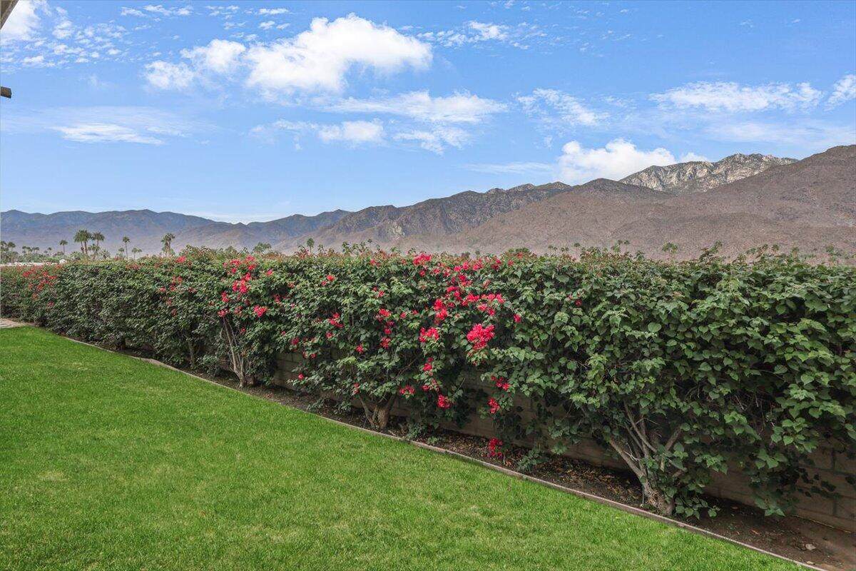 1655 Palm Canyon Drive - Photo 1