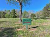 Lot 19 Shoreham Dr - Photo 62