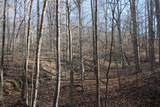 208.175 Owens Mill Rd - Photo 5