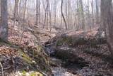 208.175 Owens Mill Rd - Photo 6