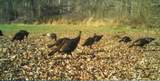 00 Motleys Mill Rd - Photo 62