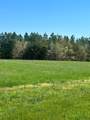000 Deer View Rd - Photo 2