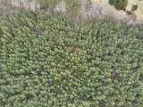 000 Deer View Rd - Photo 34
