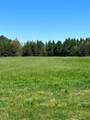 000 Deer View Rd - Photo 5