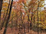 00 Old Fire Tower Lane - Photo 1