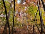 00 Old Fire Tower Lane - Photo 10