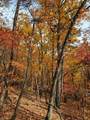 00 Old Fire Tower Lane - Photo 13