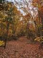 00 Old Fire Tower Lane - Photo 14