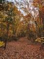 00 Old Fire Tower Lane - Photo 3