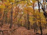 00 Old Fire Tower Lane - Photo 5