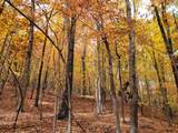 00 Old Fire Tower Lane - Photo 6