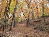 00 Old Fire Tower Lane - Photo 7