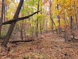 00 Old Fire Tower Lane - Photo 8