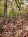 00 Old Fire Tower Lane - Photo 9