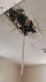 520 N Main St - Photo 15