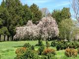 2345 Berry Hill Rd - Photo 49