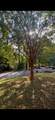 212 Grove Park Cir - Photo 48