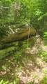 Lot 18 Reeves Mill Rd - Photo 8