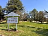 808 Clarke Rd - Photo 4
