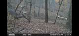127 Hairfeild Ln - Photo 32