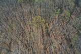 127 Hairfeild Ln - Photo 41