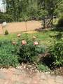 2501 Whitehead Rd - Photo 40