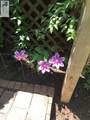 2501 Whitehead Rd - Photo 41
