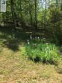 2501 Whitehead Rd - Photo 45
