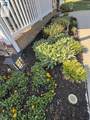 152 Homeport Ln - Photo 31