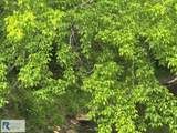 Lot 40 Cedar Hill Rd - Photo 2