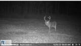 0 Triangle School Rd - Photo 14