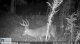0 Triangle School Rd - Photo 16