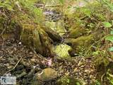 0 Triangle School Rd - Photo 28