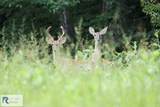 2175 Henry's Mill Rd - Photo 12
