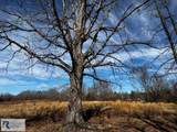 5202 Philpott Rd - Photo 33