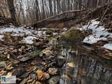 5202 Philpott Rd - Photo 35