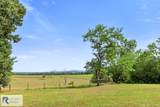 307 Museville Rd - Photo 15