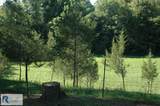 2668/64 Hodnetts Mill Rd - Photo 112
