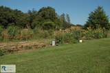 2668/64 Hodnetts Mill Rd - Photo 117