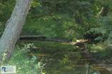 2668/64 Hodnetts Mill Rd - Photo 123
