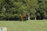 2668/64 Hodnetts Mill Rd - Photo 78