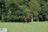 2668/64 Hodnetts Mill Rd - Photo 79