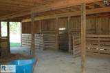 2668/64 Hodnetts Mill Rd - Photo 88