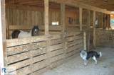 2668/64 Hodnetts Mill Rd - Photo 92