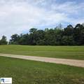 Lot 2 Ringgold Church Rd - Photo 3