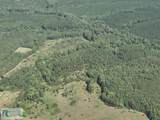 000 Sugar Barbour Rd - Photo 4
